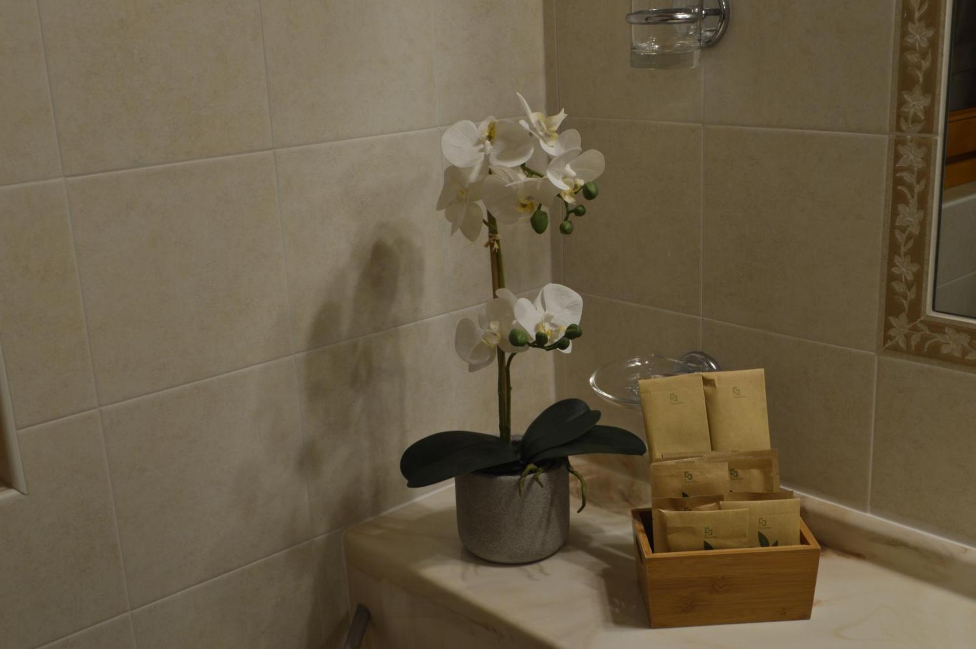 Hotel Garni Sant'Antonio Con Spa Madonna di Campiglio Exterior photo