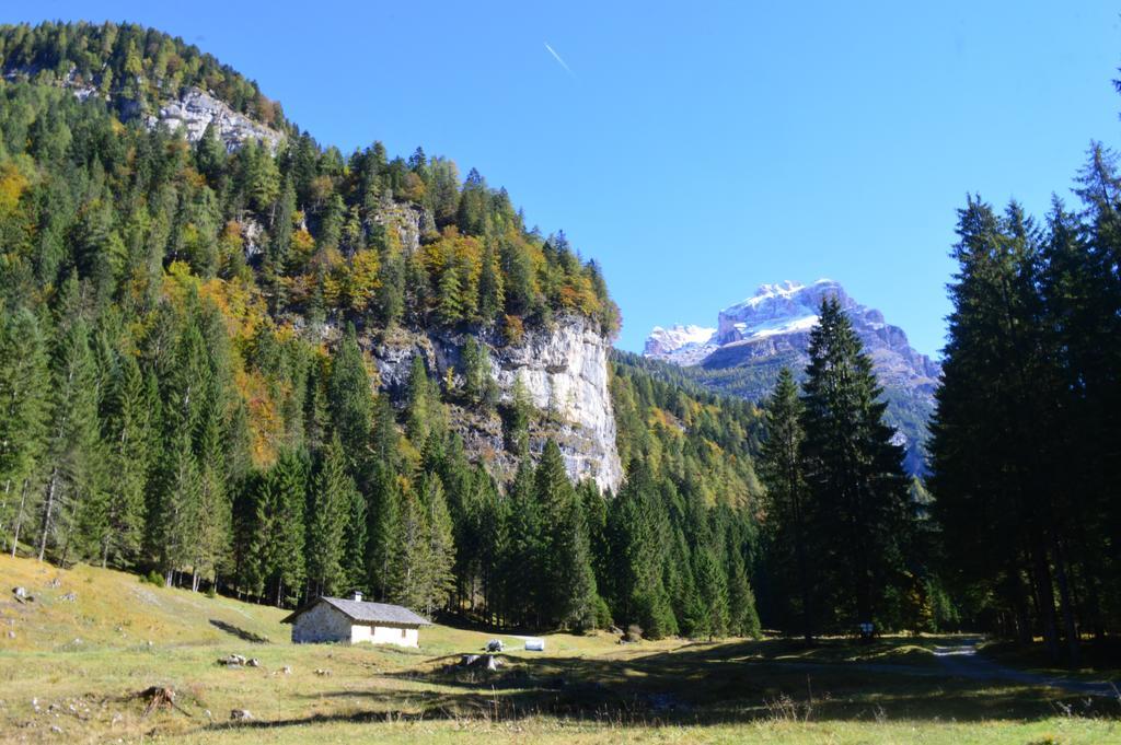 Hotel Garni Sant'Antonio Con Spa Madonna di Campiglio Exterior photo